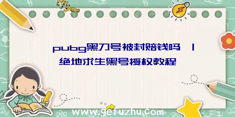 「pubg黑刀号被封赔钱吗」|绝地求生黑号授权教程